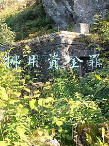 挪用资金罪