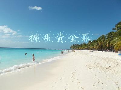 挪用资金罪