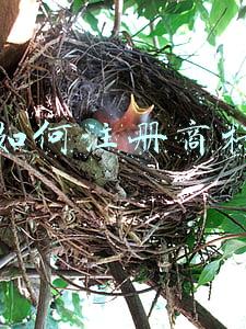 如何注册商标