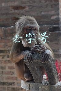 老字号