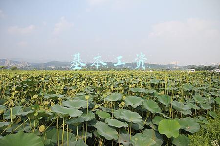 基本工资