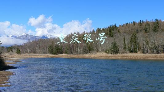 重庆限号