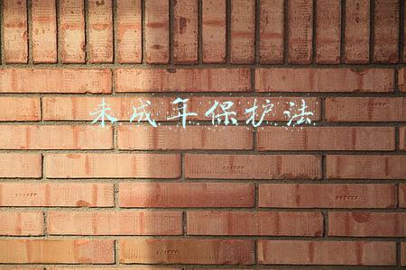 未成年保护法
