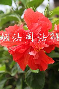 婚姻法司法解释