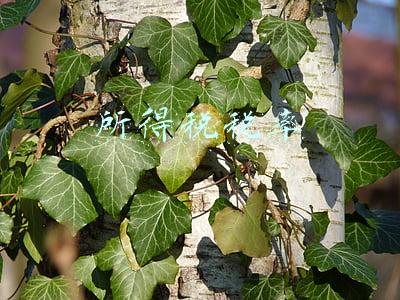 所得税税率