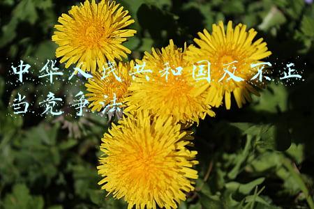 中华人民共和国反不正当竞争法2019(最高人民法院关于适用《中华人民共和国反不正当竞争法》若干问题的解释)