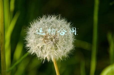 运输合同