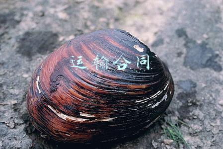 运输合同