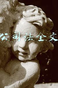 公司法全文2019(程青松律师：公司法修订草案重大变化解读)