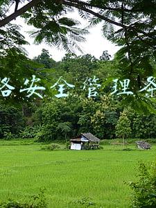 铁路安全管理条例