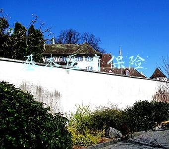 基本医疗保险