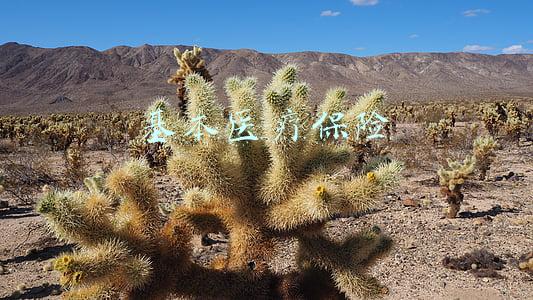 基本医疗保险药品目录中的甲类目录(医保小百科丨医保报销“三个目录”之《基本医疗保险药品目录》)