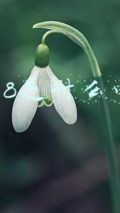12368是什么电话