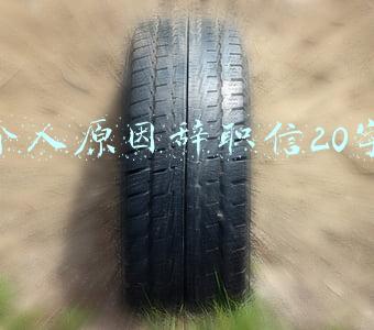 个人原因辞职信20字