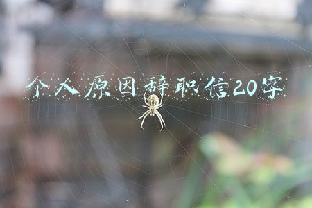 个人原因辞职信20字