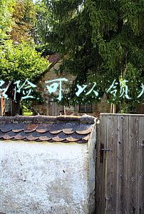 失业保险可以领几个月