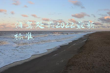 酒驾处罚2022最新标准