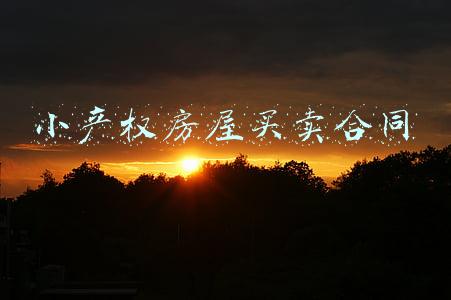 小产权房屋买卖合同