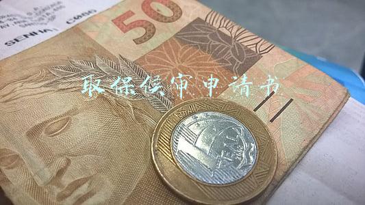取保候审申请书