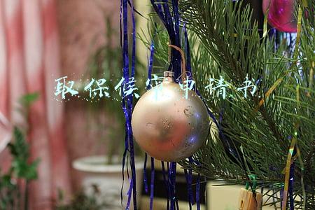 取保候审申请书