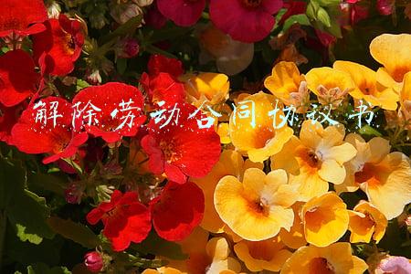 解除劳动合同协议书