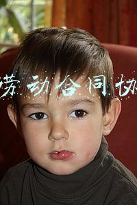 解除劳动合同协议书