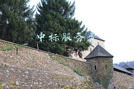 中标服务费