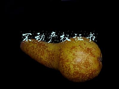 不动产权证书