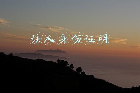 法人身份证明书怎么写范文(国内法人或者其他组织申请商标注册的身份证明文件都有哪些？)
