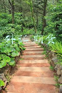 外汇期货