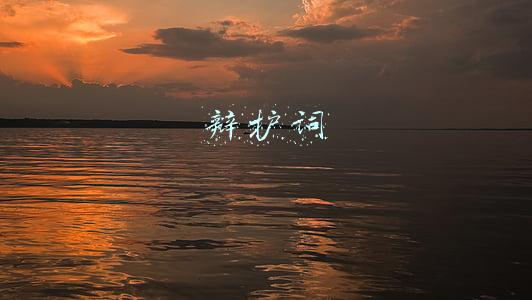 辩护词