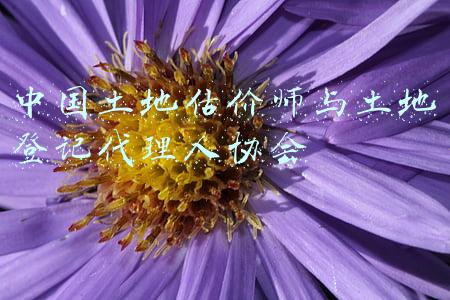 中国土地估价师与土地登记代理人协会