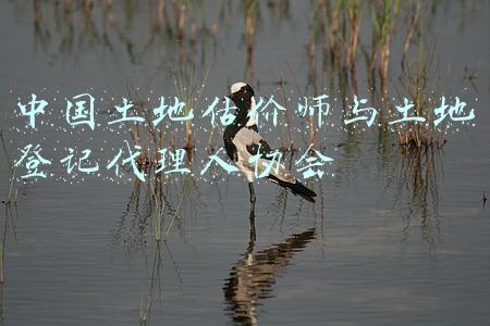中国土地估价师与土地登记代理人协会