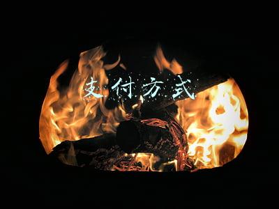 支付方式