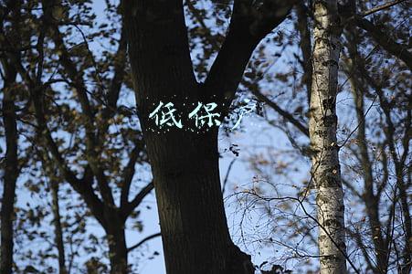 低保户