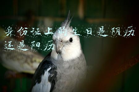 身份证上的生日是阴历还是阳历