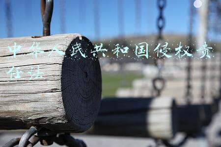 中华人民共和国侵权责任法条文理解与适用(建议收藏！关于侵权责任纠纷案件的14个实务问题解答（2022版）)