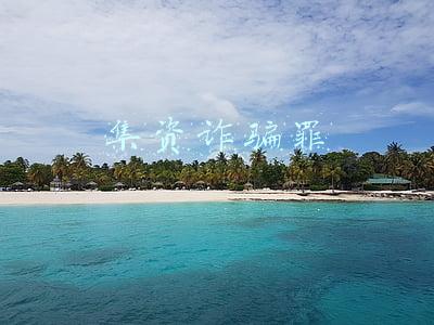 集资诈骗罪