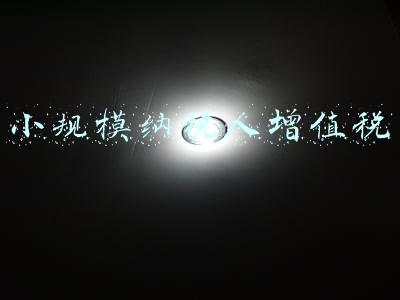 小规模纳税人增值税