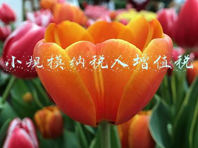 小规模纳税人增值税