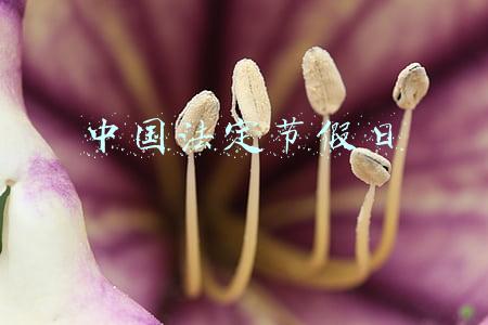 中国法定节假日