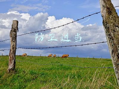 防卫过当