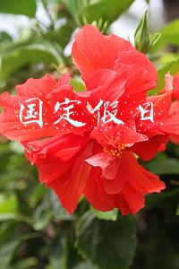 国定假日
