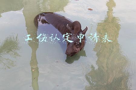 工伤认定申请表