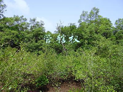 管辖权