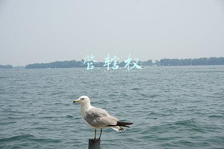 管辖权