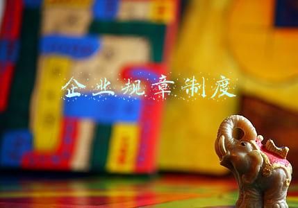 企业规章制度