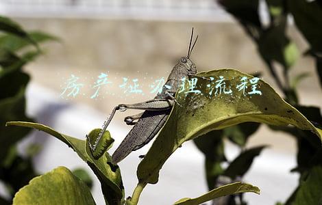 新房房产证办理流程(买房后，房产证办理流程有哪些？需要多少钱？)