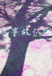 交通事故认定书
