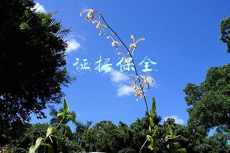 证据保全